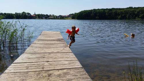 a young boy jumping off a dock into a lake at Eurocamp Spreewaldtor in Groß Leuthen