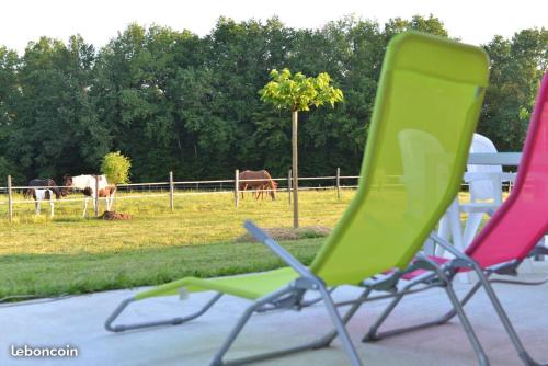 Gallery image of Gîte équestre Domaine des Crins - Biron in Capdrot