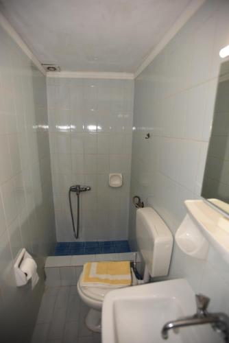 a bathroom with a shower and a toilet and a sink at Stelios Rooms to Rent in Chania