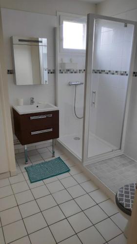 La salle de bains est pourvue d'une douche et d'un lavabo. dans l'établissement Grand Quevilly Centre Ville, à Le Grand-Quevilly