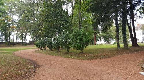a dirt road in a park with trees at CLOS MARIE in Iguerande