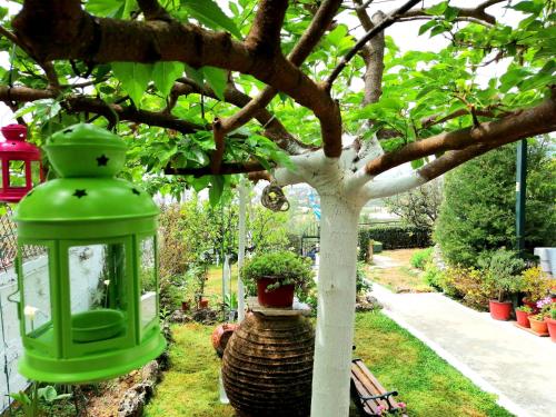 a green lantern and a tree in a garden at Vasiliki Guest House in Kalamata