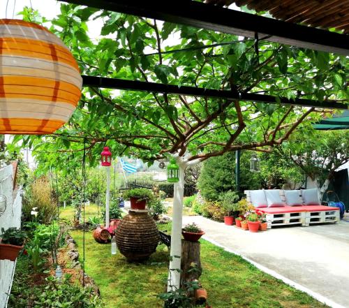 a garden with a tree and a bench under a canopy at Vasiliki Guest House in Kalamata