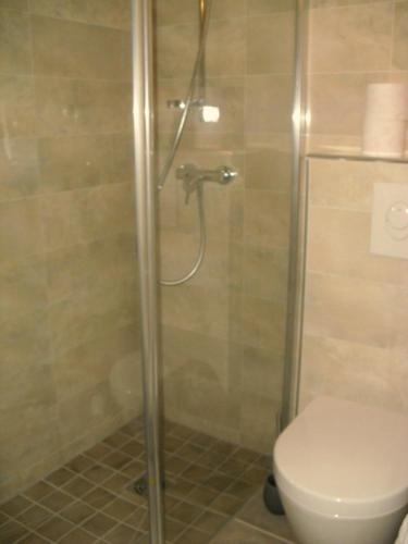 une cabine de douche avec toilettes dans une salle de bain dans l'établissement La Dentellière, à Saint-Hippolyte-le-Graveyron