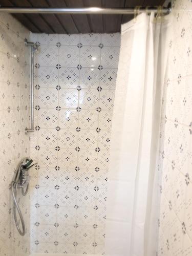 a bathroom with a shower with a shower curtain at Hexenhäuschen Dreieichenhain in Dreieich