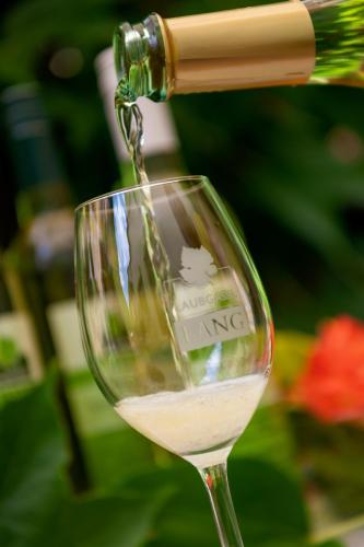 a glass of white wine is being poured at Laubgassl in Mörbisch am See