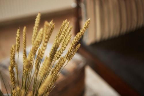 a group of ears of wheat in a vase at Earino in Kato Asites