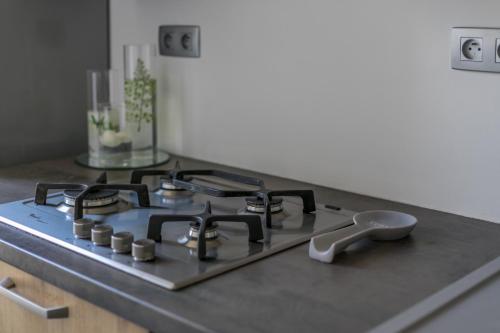 Il comprend une cuisine équipée d'un plan de travail et de plaques de cuisson. dans l'établissement Nice Apartment Garden - 5 min DISNEYLAND Paris - Val d'Europe Center, à Chessy