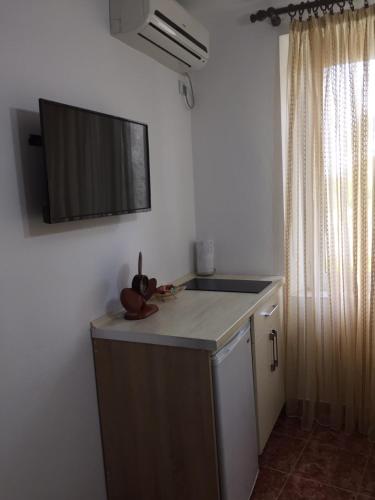 Η κουζίνα ή μικρή κουζίνα στο Apartments Gusar