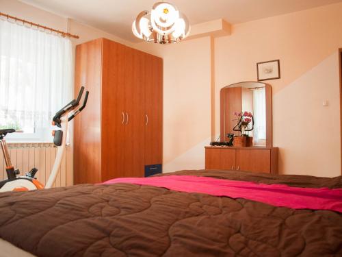 Postel nebo postele na pokoji v ubytování Apartments and rooms Nataša 1