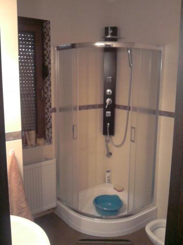 a bathroom with a shower with a toilet in it at Cały dom do dyzpozycji in Boszkowo