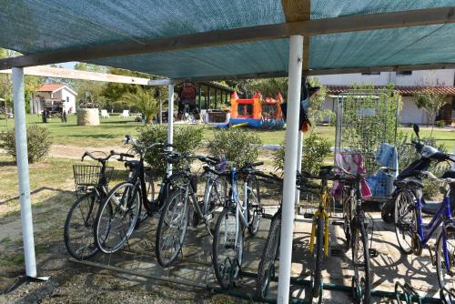 a group of bikes parked under a tent at Villa Isabella in Marina di Grosseto