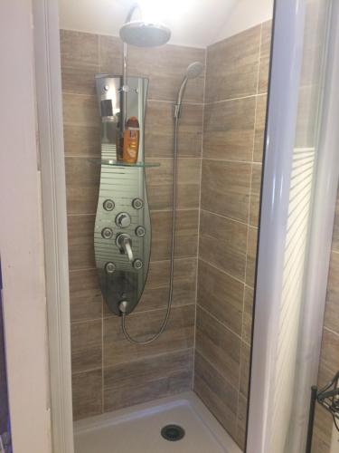 a shower in a bathroom with a shower head at Zen in Domme