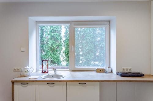 a kitchen with a sink and a window at Near park apartment with balcony in Birštonas