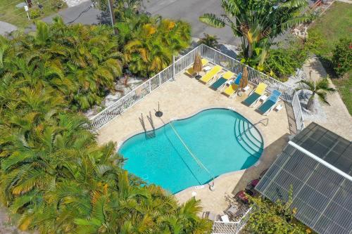 einen Blick über einen Pool mit Palmen in der Unterkunft Tropical Fruit Garden in Sarasota