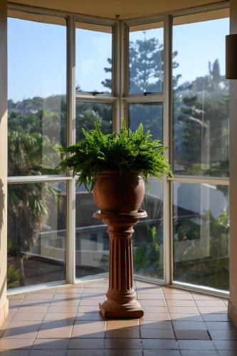 a plant in a vase sitting in front of a window at Sands Beach Breaks Luxury Beach Front Ballito in Ballito