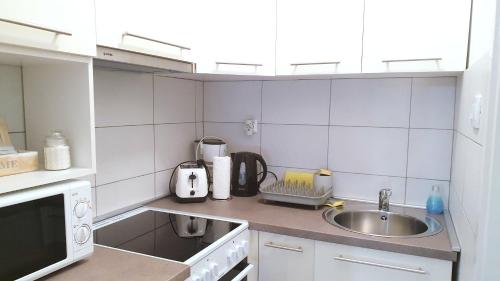 a small kitchen with a sink and a microwave at Apartment Near the Lakes in Plitvička Jezera