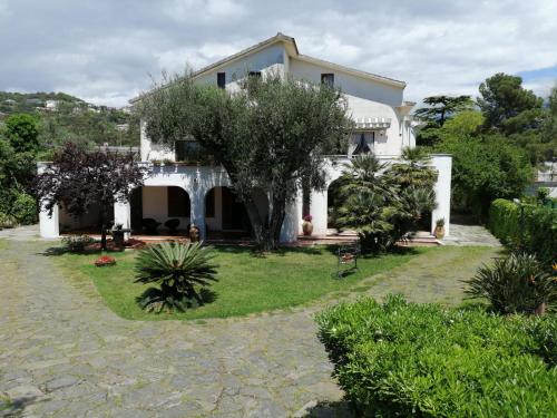 una gran casa blanca con un jardín delante de ella en Villa Livia, en Villammare