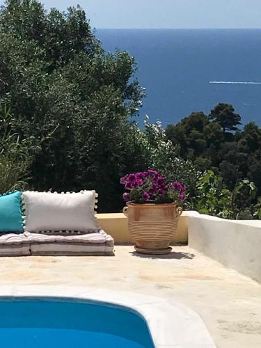 a pot of flowers sitting on a ledge next to a pool at Da Sofia in Pelekas