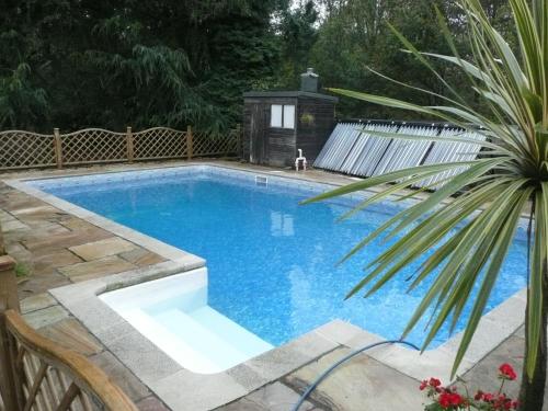 a swimming pool in a backyard with a palm tree at Pat's Cottage in Sheffield