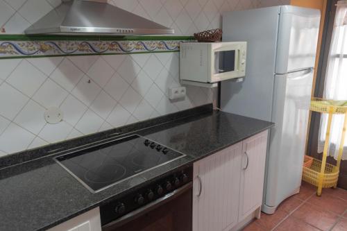 cocina con fregadero y nevera en Apartamentos San Roque, en Llanes