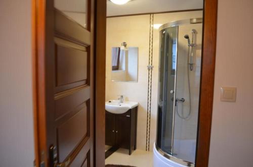 La salle de bains est pourvue d'une douche, d'un lavabo et d'une porte de douche. dans l'établissement Pokoje u Danusi, à Szczawnica