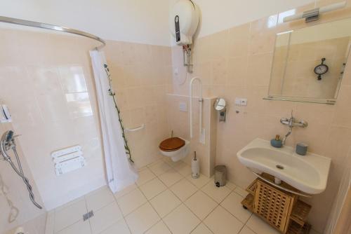a bathroom with a toilet and a sink and a shower at Pension Fialka in Český Krumlov