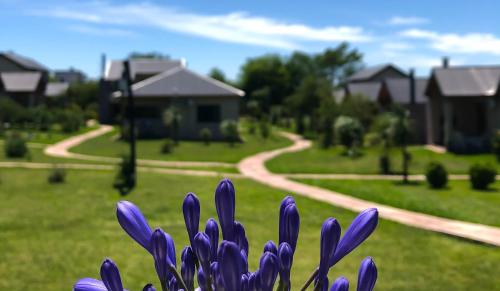 Κήπος έξω από το Iguape Aparts & Spa