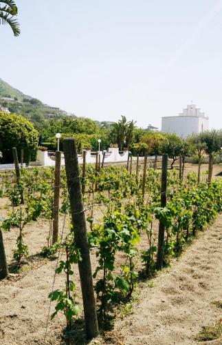 Paesaggio naturale nelle vicinanze dell'appartamento