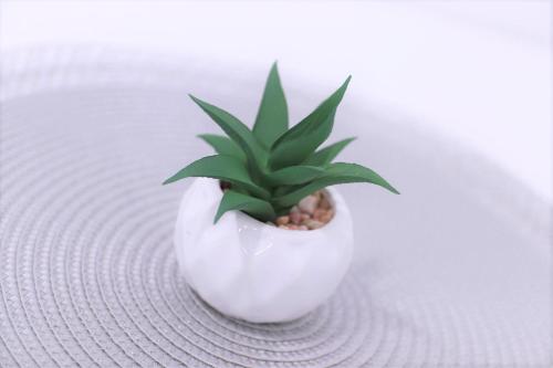 a small plant sitting in a white vase at JM Apartments in Hardegg