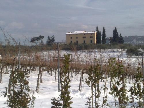 Το La Capannaccia τον χειμώνα