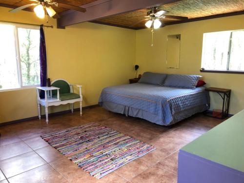 een slaapkamer met een bed en een tapijt bij Ixchel Hawaii Volcano in Volcano