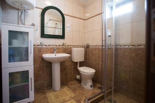 a bathroom with a toilet and a sink and a shower at Villa Vistamar Lapcici in Budva