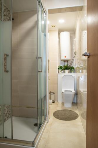 a bathroom with a toilet and a glass shower at Belém - Fully equiped Studio in Lisbon