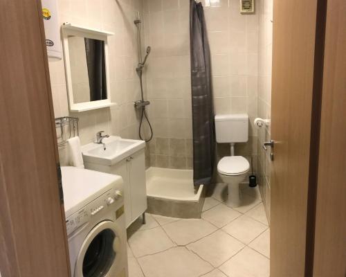 bagno con lavandino e servizi igienici e lavatrice. di Apartment Noa Zrće Beach a Skunca