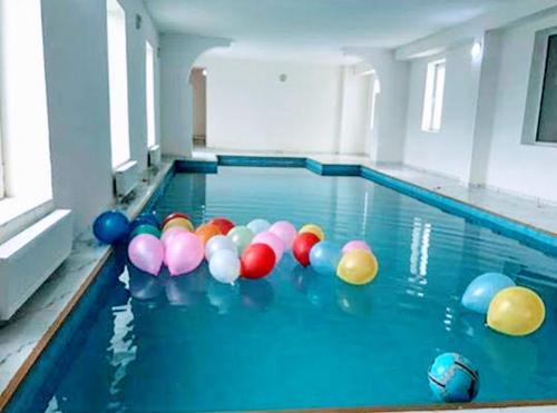 una piscina con un montón de bolas en el agua en Hotel Villa DavidL, en Sagarejo