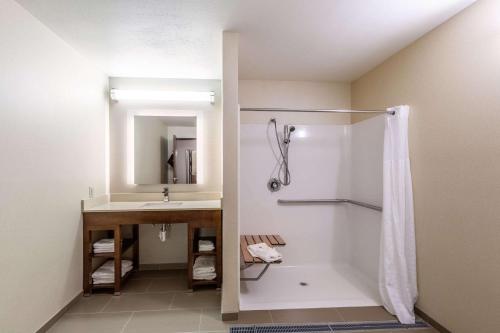 a bathroom with a shower and a sink at Comfort Suites in Escanaba