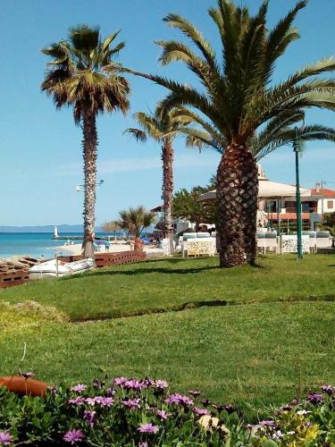 Cozy maisonette in Pefkochori Chalkidiki