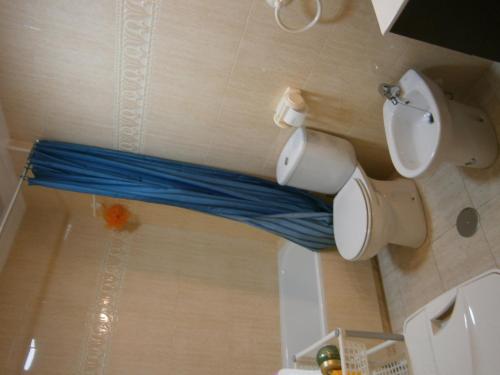 baño con aseo y sábana azul en el suelo en Apartamento Frente Al Mar, en Villajoyosa
