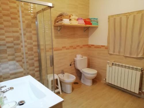a bathroom with a toilet and a shower and a sink at Casa Simona in Navas de Estena