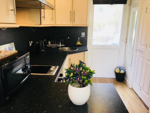 a kitchen with a plant in a white pot on the counter at Private Studio Free Parking in Oxford