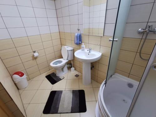 a bathroom with a toilet and a sink and a shower at Pensiunea Stefan in Bistriţa