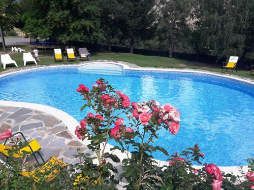 Bazén v ubytování Hotel Or Blanc nebo v jeho okolí