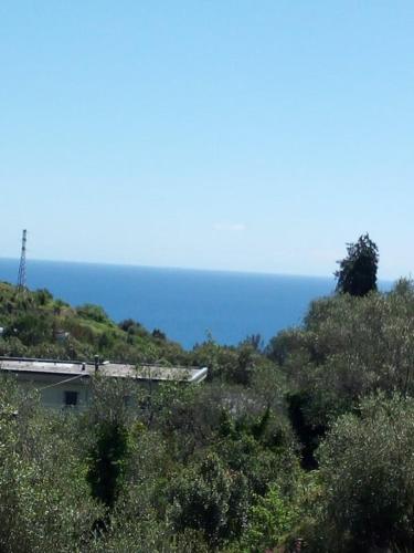 ll giardino del ballo – Photos 5
