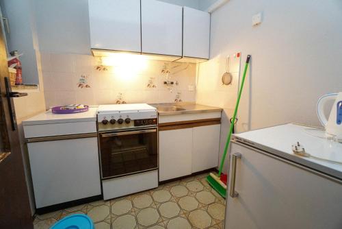 a small kitchen with a stove and a sink at Apartment Marko in Crveni Vrh