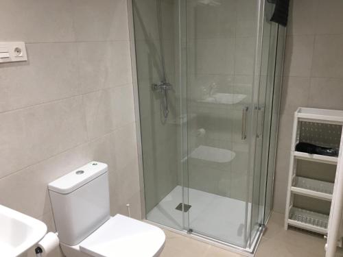 een badkamer met een glazen douche en een toilet bij VIVIENDAS DELUXE Gil y Carrasco in León