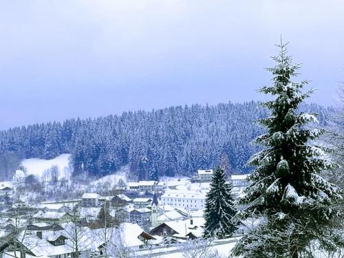 Top Appartment mit Weitblick und Late Check-Out inklusive aktivCARD im Winter