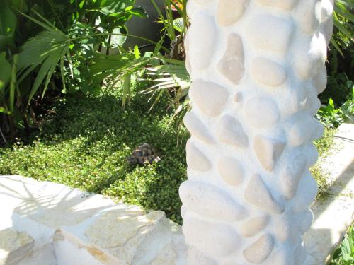 a close up of a sculpture of a group of shells at Relax tiny villas 40 meters of the beach in Korčula