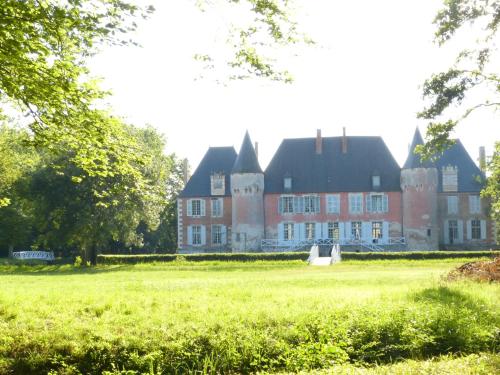 un grand bâtiment en briques avec une pelouse devant lui dans l'établissement Château de Souesmes, à Souesmes
