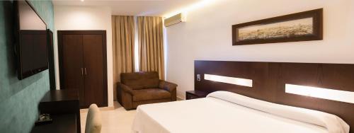 托立荷斯的住宿－Hotel El Mesón，配有一张床和一把椅子的酒店客房
